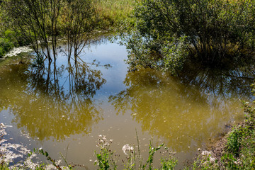 Dam on the river in summer
