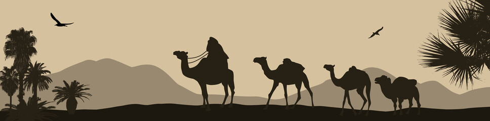 Camel caravan going through the desert © Balint Radu