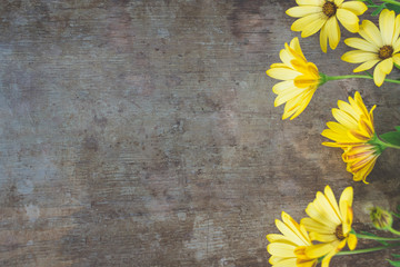 Top and close up view of beautiful blooming yellow flowers on old rustic wooden background. Floral summer or spring background
