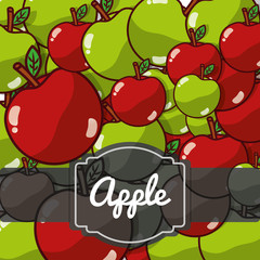 delicious apple fresh fruit label pattern vector illustration