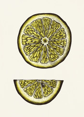 Fototapeta na wymiar Hand drawn slice of lemon