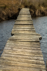 Obraz premium boardwalk