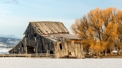 Old weathered barn beginning to fall down with winter snow on the ground © knowlesgallery