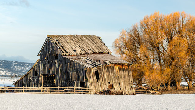 Old weathered barn beginning to fall down with winter snow on the ground