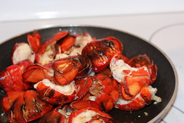 lobsters