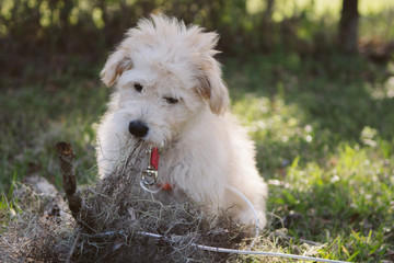 Cute Attractive Female Musician Friends Smiling and Modeling
