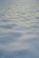 snow white winter landscape abstract