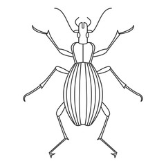Beetle icon. Simple element illustration. Beetle symbol design from Insect collection set. Can be used in web and mobile