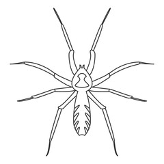 Spider icon. Simple element illustration. Spider symbol design from Insect collection set. Can be used in web and mobile