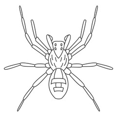 Spider icon. Simple element illustration. Spider symbol design from Insect collection set. Can be used in web and mobile