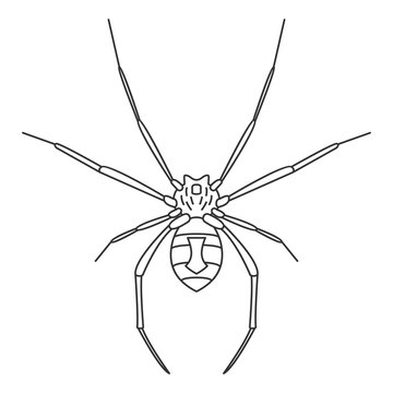 Spider icon. Simple element illustration. Spider symbol design from Insect collection set. Can be used in web and mobile