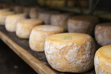 Queso en secado deposito