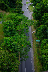 High angle of Henderson Waves bridge that showed Henderson Road with car traffic and trees between the two sides in Singapore.