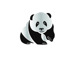 Panda Illustration