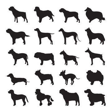 Dog Silhouette Set Vector and Icon For App and Website