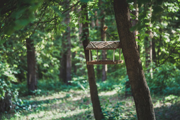 Wooden bird feeder on tree