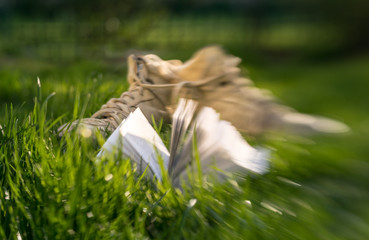 Reading in the spring garden. Relax on the sunny lawn