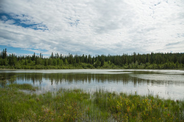 Reflections in a lake near Canmore Alberta