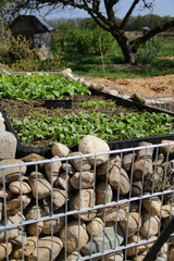 hochbeet im bauerngarten