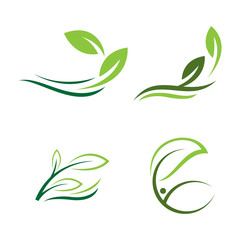 ecology leaf nature logotype modern icon illustration