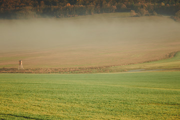 Fototapeta premium Country field fog landscape on autumn day