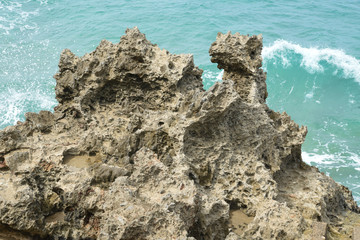 Magma formed rocks on the shoreine of the Dominican Republic showing embedded fossils and marine...