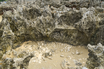 Magma formed rocks on the shoreine of the Dominican Republic showing embedded fossils and marine life
