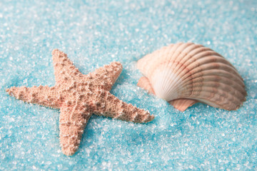 Fototapeta na wymiar A starfish or sea star with a sea shell on a blue epson bath salt background