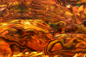 Background from a  macro shot of amber abalone veneer