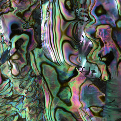 beautiful background of macro shot of abalone or mother of pearl shell veneer