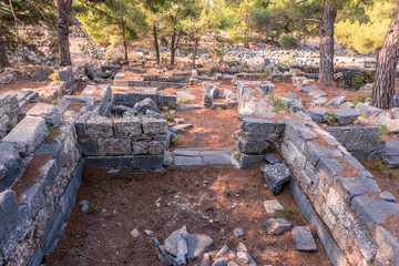 Ruins of Ancient Greek City of Priene