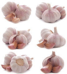 Fototapeta premium Fresh garlic