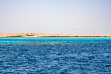 Fototapeta na wymiar Vacation on Red Sea, Mahmya