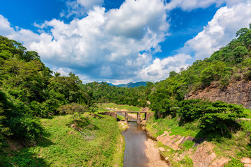 Landscape of bridge over river in jungle