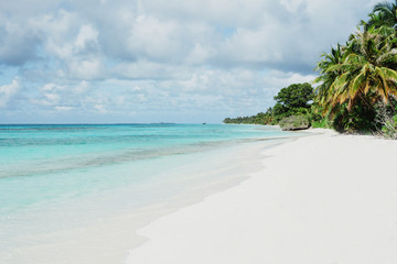 Fototapeta na wymiar Paradise beach with palm trees and ocean on an island