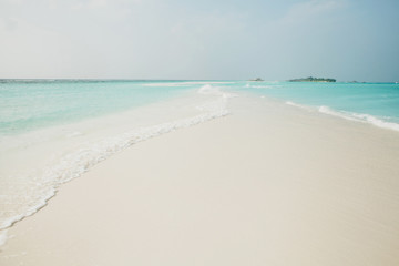 Paradise beach with palm trees and ocean on an island