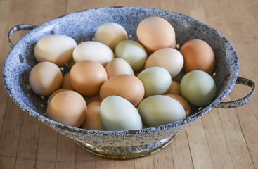 Organic free range chicken eggs in original pastel colours in blue enamel bowl