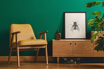 Insect poster and yellow armchair - obrazy, fototapety, plakaty