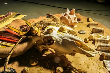 Animal skull with snake skin and jewelry 