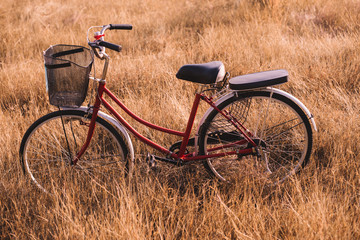 Fototapeta na wymiar Vintage Bicycle in Summer Meadow made with color Vintage Tone,Filtered effect