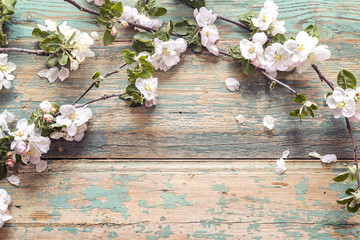 Blossoming apple tree branches on old wooden background. Copy space.