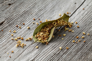 Natural air dried osmanthus flowers and leaves on the wood.