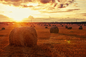Hay bale at sunset, harvest concept. Autumn rural landscape with sunflares on sunset over the harvested field with hay bale. Straw Bale Gardening - obrazy, fototapety, plakaty