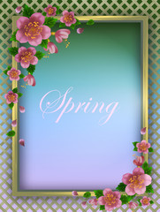 pink spring flowers against a wooden lattice, flowering branches against a summer gazebo background