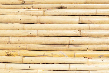 Bamboo background