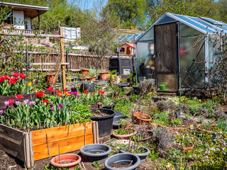 Schrebergarten blüht im Frühling