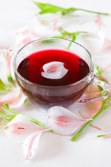 Cup of red tea and petals of flowers on a white background. Place for text. Creative layout. Concept. Design. Close up