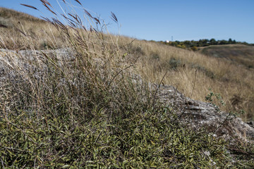 Fototapeta premium Hills in autumn