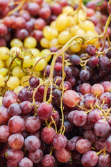 Grapes background. Organic Ripe red and white grape   at  market. Harvesting concept. Grape in a local market