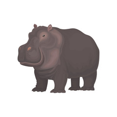 Hippopotamus wild african animal vector Illustration on a white background